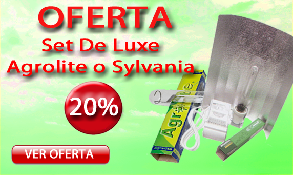 oferta grow shop online